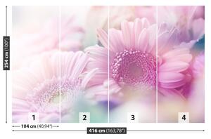 Fotótapéta rózsaszín virágok 104x70