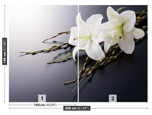 Fotótapéta fehér liliom 104x70
