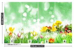Fotótapéta Easter virágok 104x70