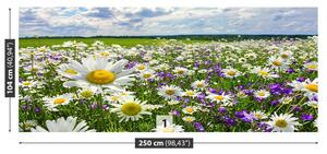 Fotótapéta Meadows és virágok 104x70