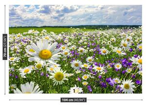 Fotótapéta Meadows és virágok 104x70