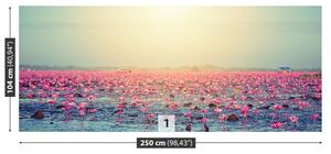 Fotótapéta Víz liliom tó 104x70