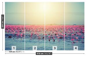 Fotótapéta Víz liliom tó 104x70