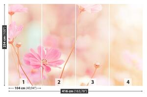 Fotótapéta Rózsaszín virágok kozmosz 104x70