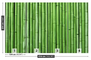 Fotótapéta Bamboo Green 104x70