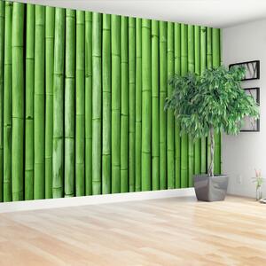 Fotótapéta vlies Bamboo Green 104x70 cm