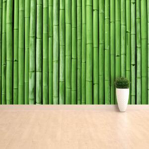 Fotótapéta vlies tapéta Bamboo Green 104x70 cm