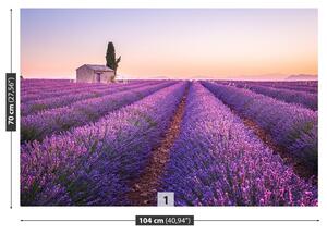 Fotótapéta Provence levendula 104x70