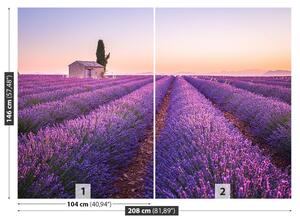 Fotótapéta Provence levendula 104x70