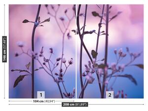 Fotótapéta lila rügyek 104x70