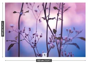 Fotótapéta lila rügyek 104x70