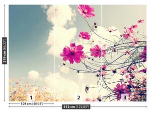 Fotótapéta virágok kozmosz 104x70