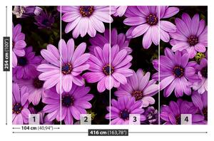 Fotótapéta lila virágok 104x70