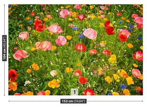 Fotótapéta mezei virágok 104x70