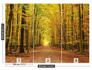 Fotótapéta őszi fasor 104x70