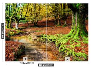 Fotótapéta erdő ősszel 104x70