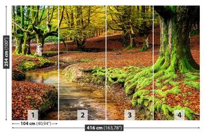 Fotótapéta erdő ősszel 104x70