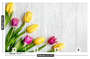 Fotótapéta sárga tulipánok 104x70