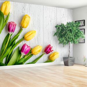 Fotótapéta sárga tulipánok 104x70