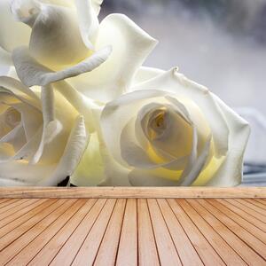 Fotótapéta Fehér rózsák 104x70