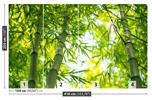 Fotótapéta Bamboo ág 104x70