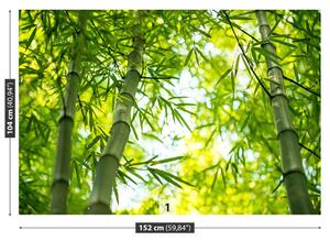 Fotótapéta Bamboo ág 104x70