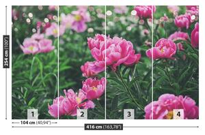 Fotótapéta rózsaszín bazsarózsák 104x70