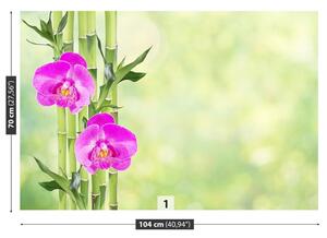 Fotótapéta Orchidea és Bamboo 104x70