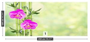 Fotótapéta Orchidea és Bamboo 104x70