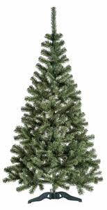 Aga Karácsonyfa Jegenyefenyő 150 cm