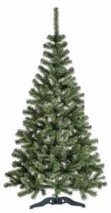 Aga Karácsonyfa Jegenyefenyő 220 cm