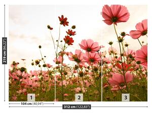 Fotótapéta Cosmos virágok 104x70