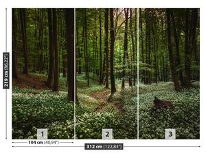 Fotótapéta tavaszi erdő 104x70