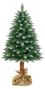 Aga karácsonyfa 150 cm törzzsel