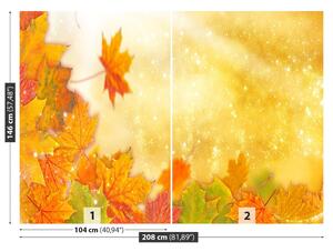 Fotótapéta Őszi levelek 104x70
