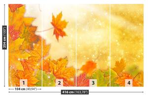 Fotótapéta Őszi levelek 104x70