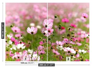 Fotótapéta virágok kozmosz 104x70