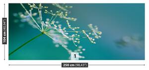 Fotótapéta kapor virág 104x70