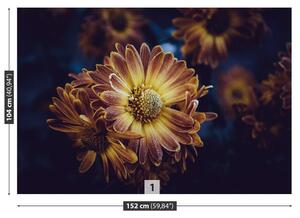Fotótapéta sárga virág 104x70