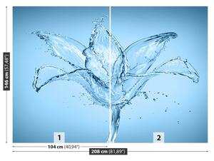 Fotótapéta víz virág 104x70