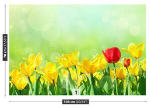 Fotótapéta sárga tulipán 104x70