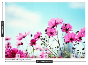 Fotótapéta virág Sky 104x70