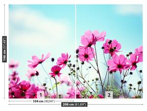 Fotótapéta virág Sky 104x70