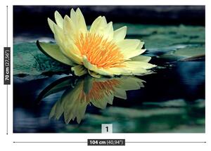 Fotótapéta lótusz virág 104x70