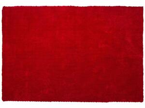 Piros hosszú szálú szőnyeg 200 x 300 cm DEMRE