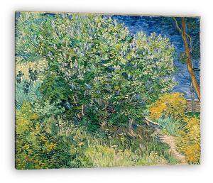 Vincent Van Gogh: Lila bokor (vászonkép)