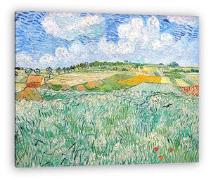Vincent Van Gogh: Alföld Auvers közelében (vászonkép)
