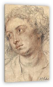 Peter Paul Rubens: Hölgy portré (vászonkép)