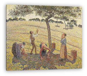 Camille Pissarro: Almaszüret Eragny-ban (vászonkép)