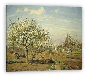 Camille Pissarro: Gyümölcsöskert (vászonkép)